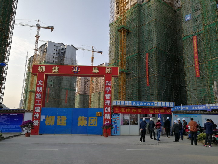 20190203-2.jpg